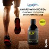 lipolife LLP2 - liposomal Pea Palmitoylethanolamide Levagen+ | High Strength