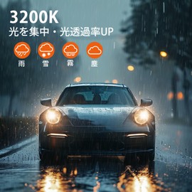 H16 Halogen Fog Lamp, For Cars, H16, Yellow, Yellow, Headlight, 3200K, 12V, 19W, Genuine Replacement, Pack of 2