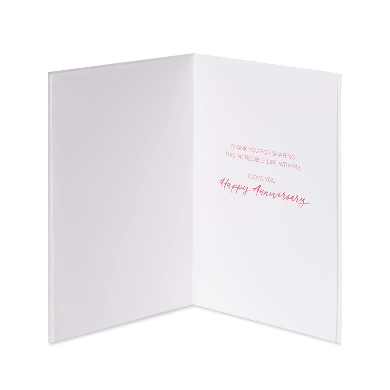 Papyrus Anniversary Card for Wife (This Incredible Life)