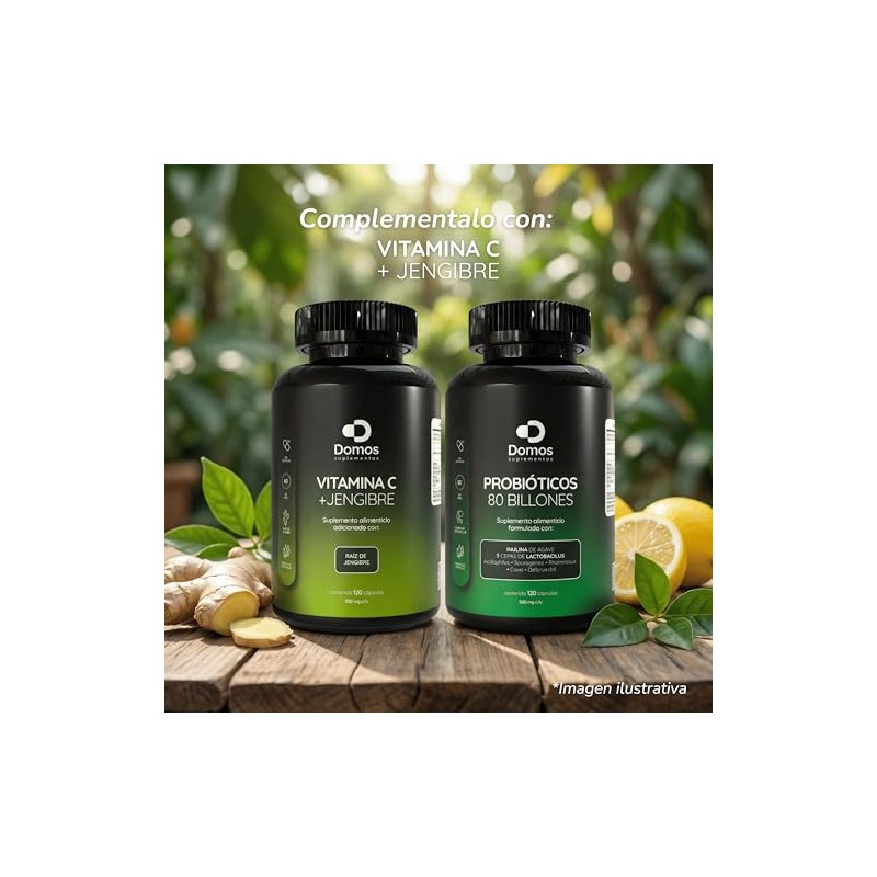 Suplementos Domos - 80 Billones Probióticos - Inulina De Agave