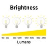 Luminus 5.5W LED 500 Lumens ST19 Dimmable Vintage Filament Bulb