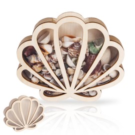Sea Shells Display Case Wooden Seashell Storage Box with Transparent Panel Exquisite Seashells Display Box for Sea Shell Coastal Decor