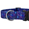 Country Brook Petz - Deluxe Dog Collar - for Durability,