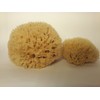 Naturschwamm P130 Premium
