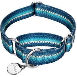 Dazzber Fashion Print and Unique Geometric Pattern Martingale Dog Collar, Silky Soft Safety Training Collars for Small to Large Dogs (Medium, Turquoise)