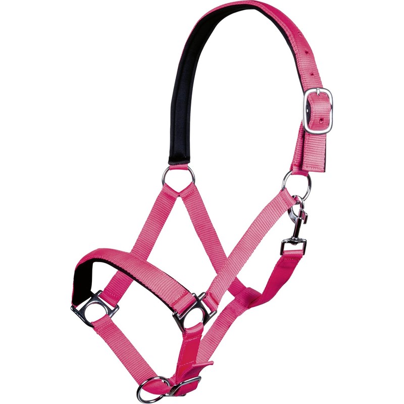 Hkm Headcollar with Stars Softice, Soft Lining