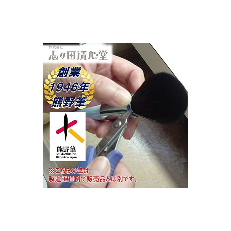 Shishida Seishindo Kumano Lip Brush Automatic, 100% Natural Horse Hair,