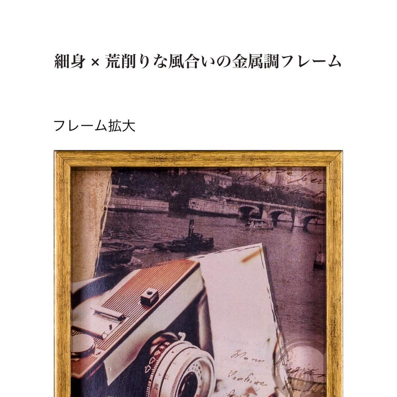 ナカバヤシ アンティコ インテリアフレーム KG ゴールド F-TP-102-GD