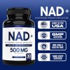 Dorado Nad Premium Suplemento Nmn Soporte Nicotinamida G80