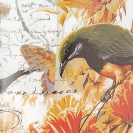 CIPI' Dispenser, Transparent Decorated, Unique