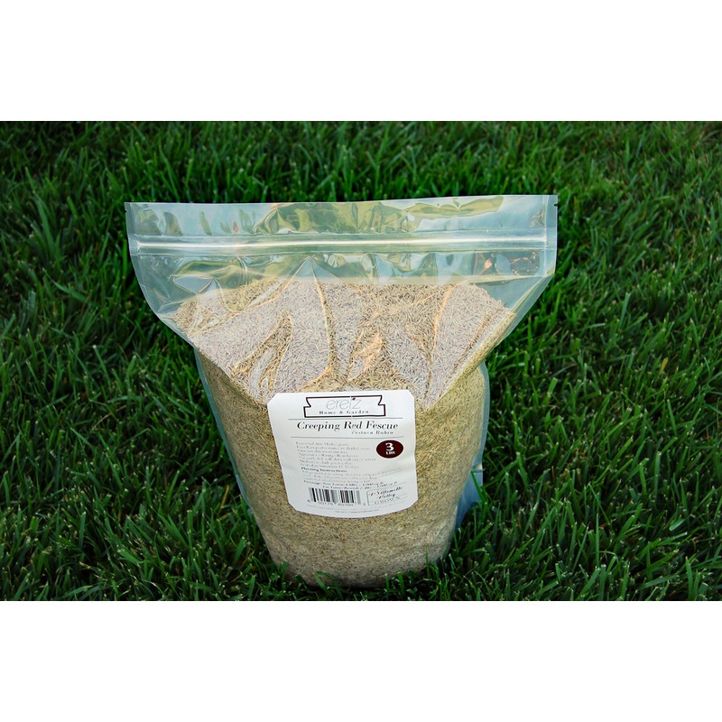 Creeping Red Fescue Seed by Eretz (3lb) - CHOOSE SIZE!