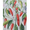 TWO Individual Napkins Chili Pepper Lunch Decoupage (597)