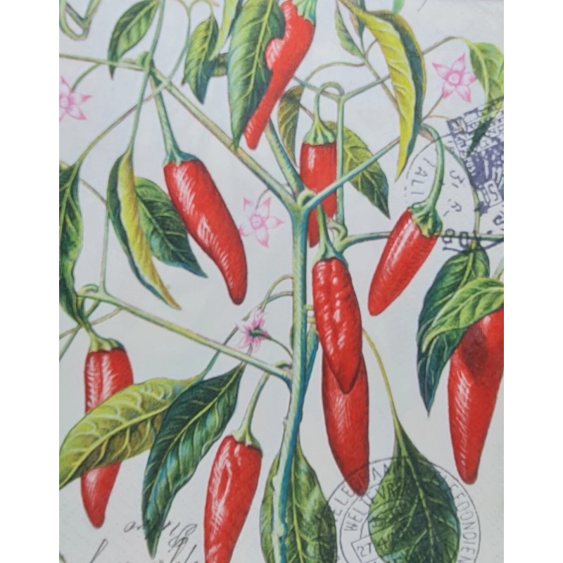 TWO Individual Napkins Chili Pepper Lunch Decoupage (597)