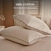 BHZ Goose Down Feather Pillows Standard Size Set of 2