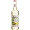 FixtureDisplays Monin Premium Mojito Mix 544SYPAR053A
