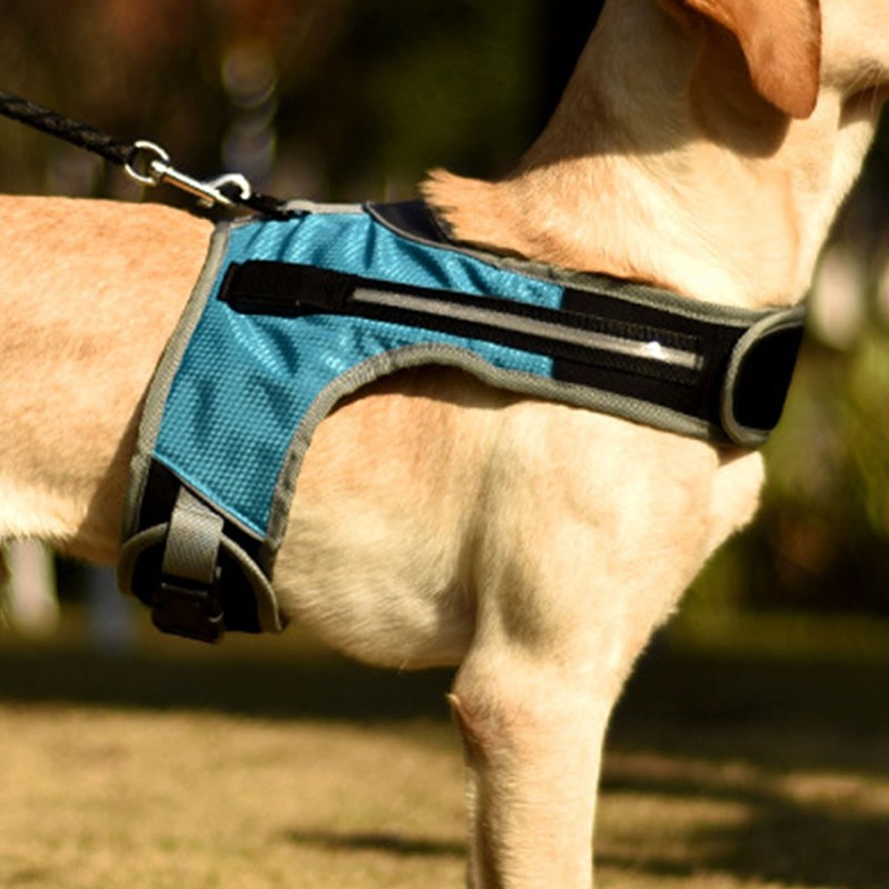 Dog Harness with LED Light Adjustable Comfortable Relieve Neck Pressure