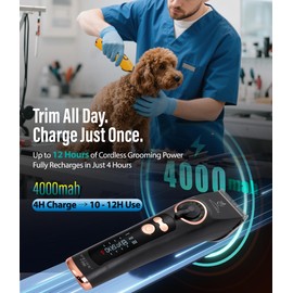 Professional Dog Grooming Clippers with 12H Runtime & Replaceable 440C Blade, 3-Speed Low Noise Electric Dog Shaver for Thick, Matted, Curly Hair, Cordless Clipper for Groomer & Home Use, Black