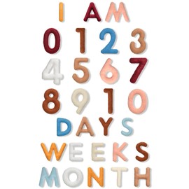 Windkream 29 Pcs Felt Baby Monthly Milestone Decor Numbers and Letters Newborn Birth Photography Props, 1-12 Months Milestone Number Sign Decor for Toddler Boy or Girl (Boho Color)