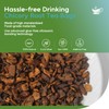 FullChea - Chicory Root Tea, 50 Teabags - Pure Chicory