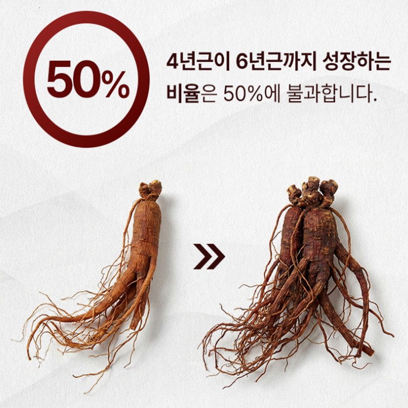 Korean red ginseng agarwood extract 6-year-old Korean red ginseng agarwood