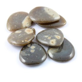 Timber Tones Rock Tones Flint - Single Pick
