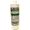 Algae Research Supply Algae Culture Chlorella Vulgaris, Perfect for School