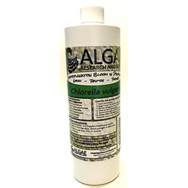 Algae Research Supply Algae Culture Chlorella Vulgaris, Perfect for School Science Fairs/Projects, Experiments & Classrooms (500ml)
