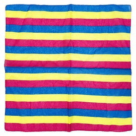 Zac's Alter Ego Gay Pride Festival Equality Pansexual Bandana