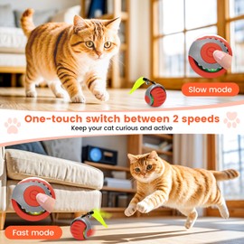Starnearby 2025 Neu Chase Master Pro Katzenspielzeug Interaktives Katzenball Elektrisch Speedy Tail 3.0 Powerball Katze Spielzeug mit 3 Ersatzschwanz (Orange)