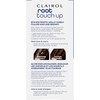 Clairol Temporary Root Touch-Up Concealing Powder