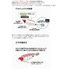 Lumica (Japan Chemiluminescence) Ultimate Squid No. 15 A20413