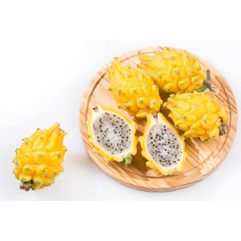 Yellow Dragon Fruit Seeds for Planting (30 Seeds) - Rare Exotic Fruit and Garden Seeds