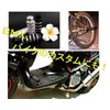 World Imp Motor 2 Piece Set Aluminum Alloy Gear Guard