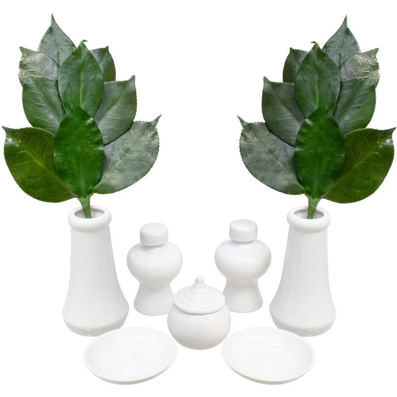 A&K Sakaki Preserved (S Size / Pair / Approx. Height