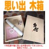 Naming Wall Scroll (No Tillage), Modern (Girls) [Naming Paper, Naming