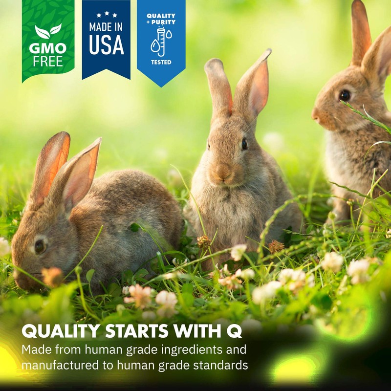 Equa Holistics HealthyGut Probiotics for Rabbits Dietary Supplement, All-Natural Digestive