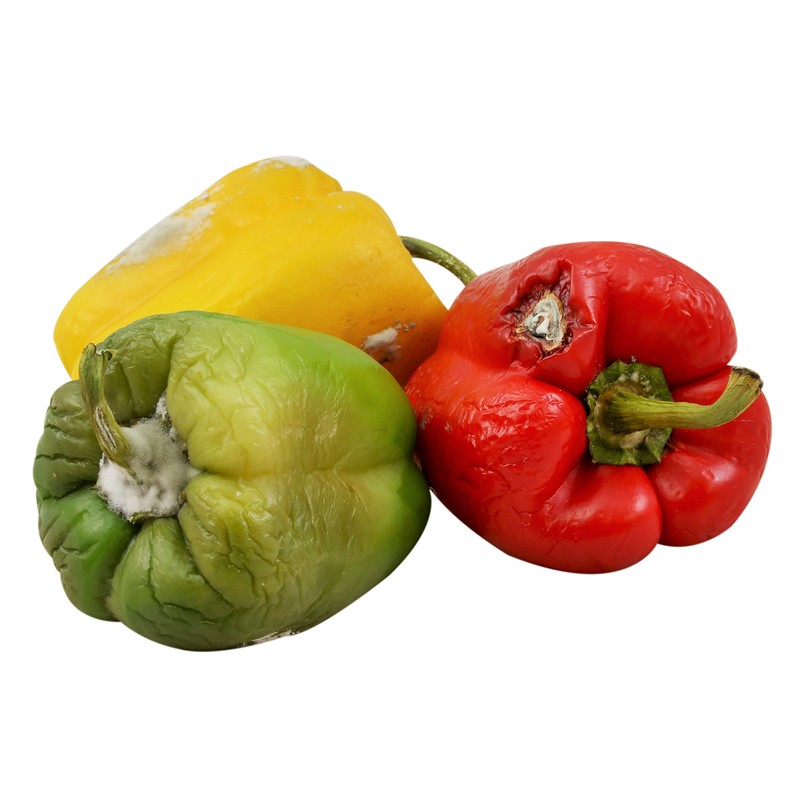 Ecoegg Fresher For Longer Discs, Pack of 4