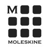 Moleskine Classic Pocket Notebook large