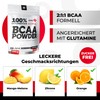 BLADE Series 100% BCAA Powder + Glutamine 500g - Amino