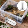 TOYANDONA Turtle Brush with Suction Cup: Abs Turtle Shell Cleaning