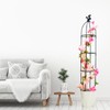 Gardening Climbing Vine Plant Climbing Vine Trellis for Climbing Plants