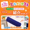 LEC Super Remover High-Density Brush Treloop (Handy) Reusable Dust Remover/Insert
