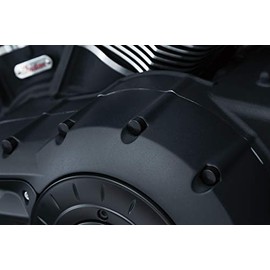Kuryakyn 2471 Motorcycle Accessory: Kool Kaps Engine Bolt Head Covers/Topper Caps for Indian Motorcycles, Satin Black, Complete Kit
