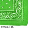 DF Gallery Bandana Hair Accessory Dance Costume Accessories Paisley Cotton