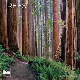 Trees Wall Calendar 2026 | 12" x 24" Open | Nature Calendar Photography Thick & Sturdy Paper for Organizing & Planning | Office Kitchen Decor or Gift | Pacific Waters Press (Trees)
