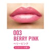 RIMMEL Oh My Gloss Lip Oil 003, Berry Pink, 0.1