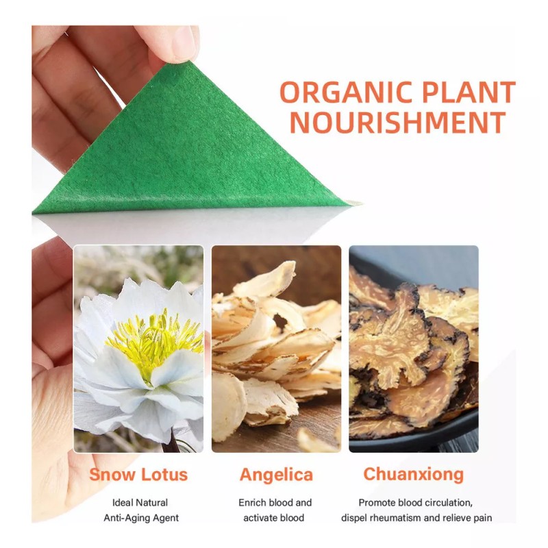 56165156 5×masaje Eficaz For Corregir La Parálisis Facial Con Puntos