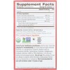 (NOT A CASE) Organic Echinacea Plus Herbal Tea 16 Tea