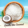 Malibu Sun SPF 4 Bronzing Tanning Oil, Water Resistant, Coconut