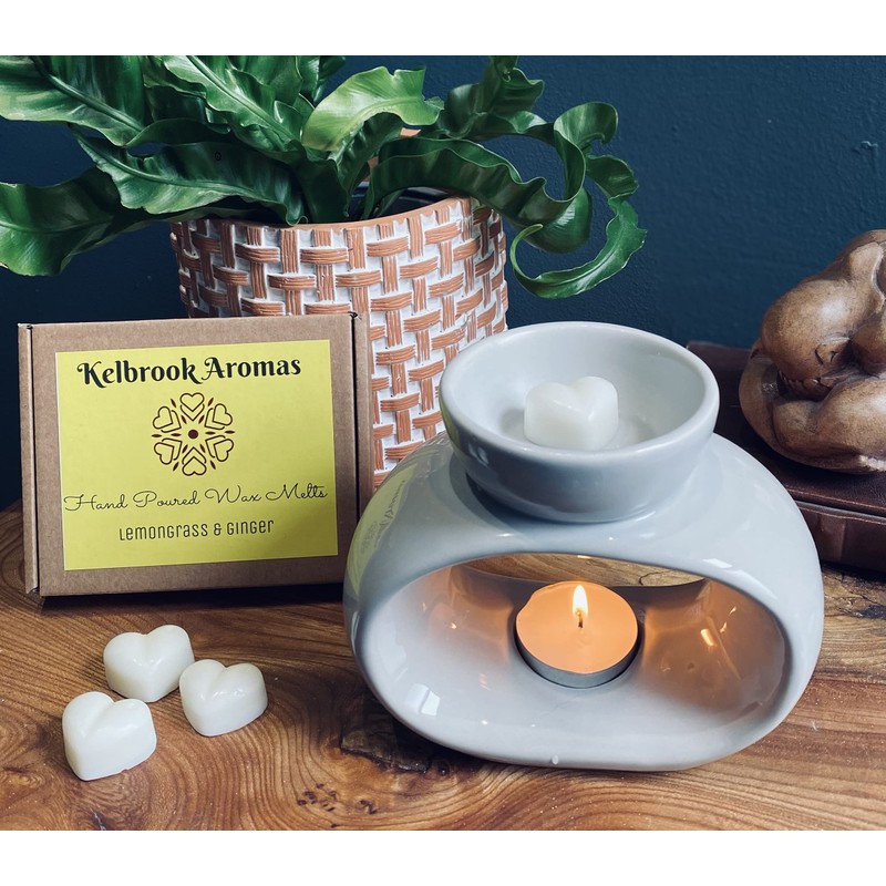 Wax Melts - Lemongrass and Ginger | 16 Pack |